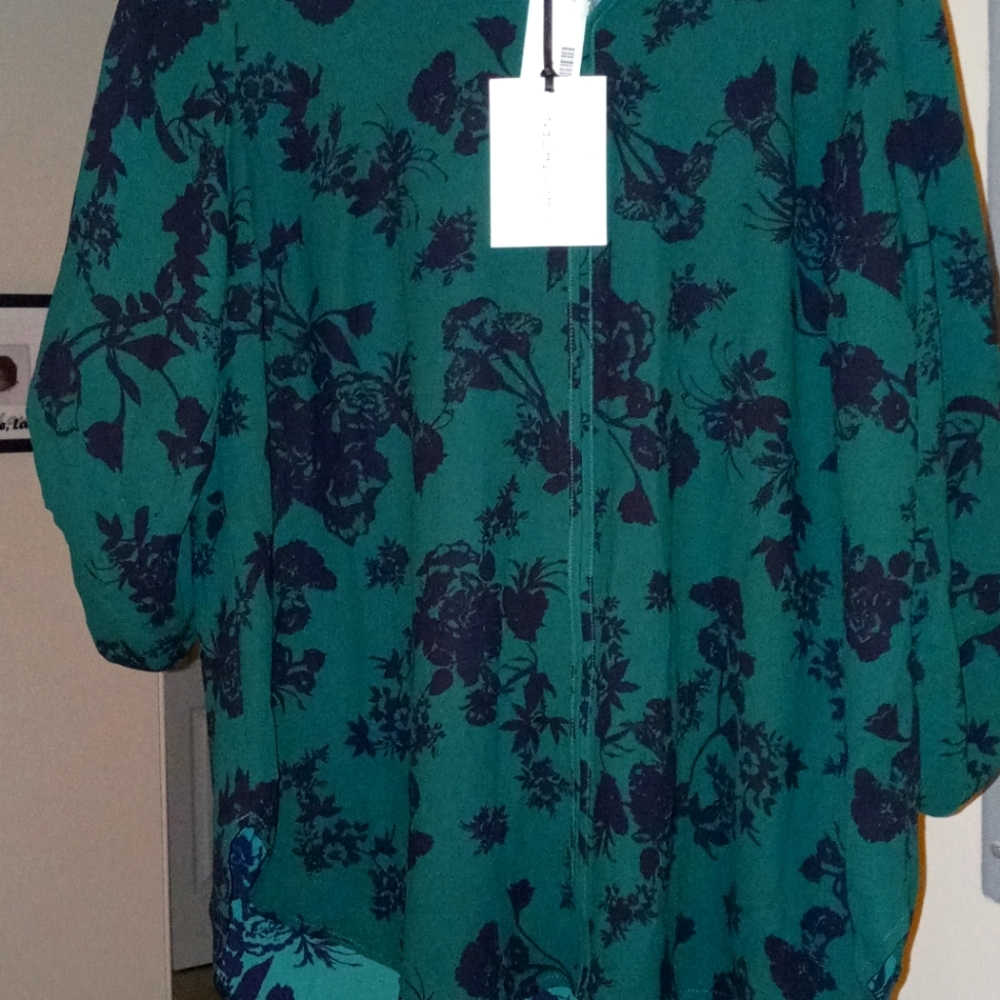 Green sheer 41 Hawthorne shirt 1x